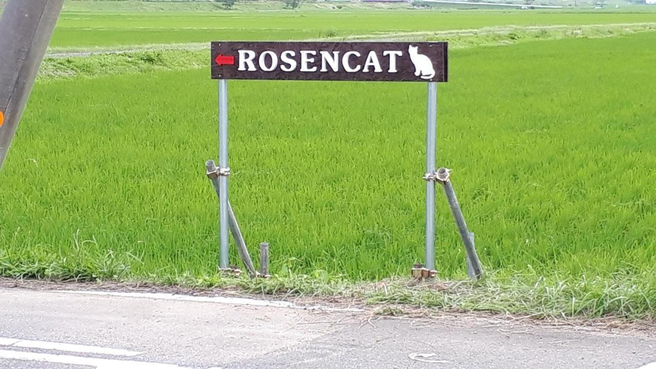 Rosencat Villa Sado Eksteriør billede